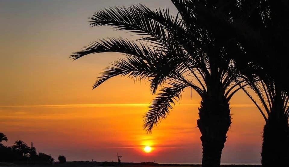 Casa Del Mar Διαμέρισμα Santa Pola Εξωτερικό φωτογραφία
