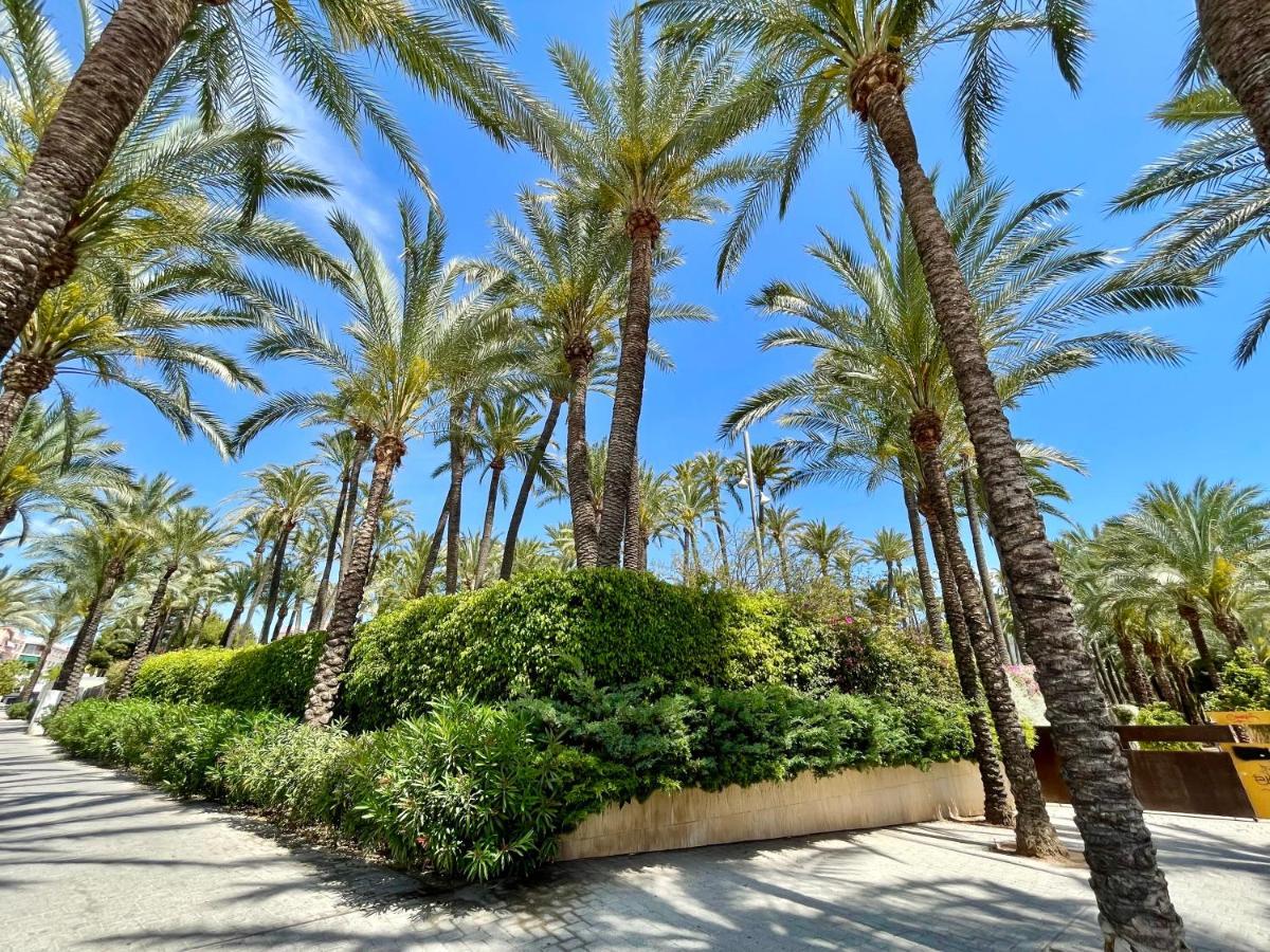 Casa Del Mar Διαμέρισμα Santa Pola Εξωτερικό φωτογραφία